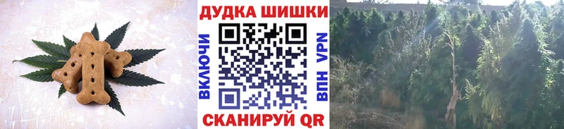 Купить где  Вяземский  Cannafood марихуана 