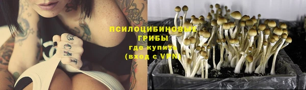 дживик Михайлов