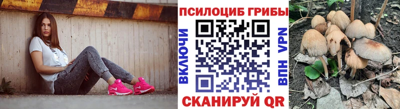 Псилоцибиновые грибы MAGIC MUSHROOMS  Купить где  Вяземский 